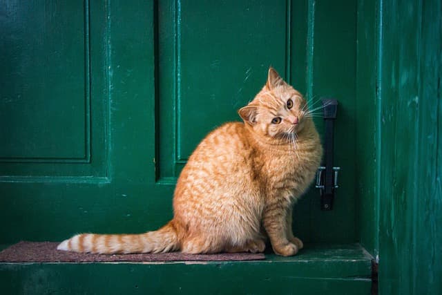 5 Simple DIY Fixes to Improve Your Home's Curb Appeal